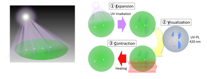 Figure 1. Reproducing bipolar degradation using ITES’s proprietary technology